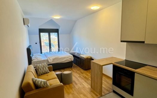 Furnished apartment in a new building at an excellent location – Cetinje, City Center