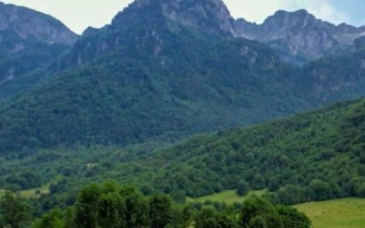 Building land in an excellent location, designated for the construction of a tourist-apartment complex, Kolašin